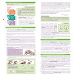 Eva Copa Copa Mestrual Eva D48 Tamaño 3 evacopa #7