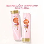 Acondicionador Sedal Colageno 190ml #6