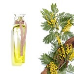 Adolfo Dominguez Fragancia Mimosa Coriandro F/W Edt 120 ml #5