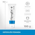 Hipoglos Pomada 100 gr #2