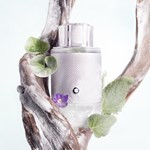 Montblanc Explorer Platinum Edp Presentación 100 ml #3