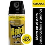 Raid Aerosol Max Mata Cucarachas/Arañas 360 ml #2