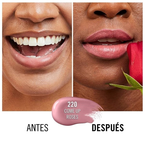 Labial Líquido Rimmel London Lasting Provocalips alt