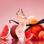 Shakira Dance Midnight Glam Edt Edición Limitada Edt 80 ml #3