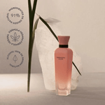 Adolfo Dominguez Terracota Musk Cofre 120ml + Body Lotion #3