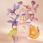 Edp Cher Zarci Elixir x 100 ml #3