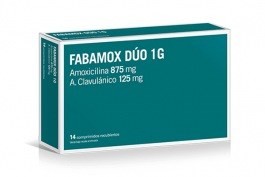 Fabamox Duo 1gr | 14 comprimidos