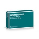 Fabamox Duo 1gr | 14 comprimidos #1
