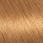 Garnier Kit Coloracion Cor Intensa 7.3 Rubio Dorado #19