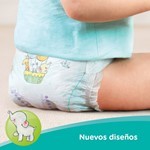 Pampers 44 Unidades | G #5