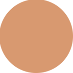 Loreal Paris Base Infallible Matte Cover 230 #4