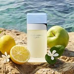 Dolce & Gabbana Light Blue Edt Presentación 200 ml #3