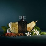 Tucci Nero Edp Presentación 100 ml #4