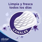 Protectores Diarios Sensitive (40 Unidades) #10