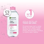 Garnier Combo Rutina Básica #4