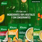 Sopa Crema Knorr Zapallo 70 G #4