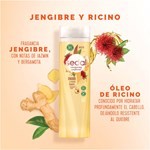 Acondicionador Sedal Jengibre & Ricino 340 Ml. #4