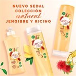 Crema Para Peinar Sedal Jengibre & Ricino 300 Ml #5