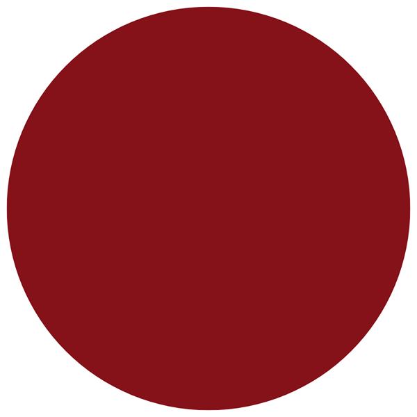 Labial en Barra Loreal París Color Riche Volume Matte Tono 480 Plum Dominant alt