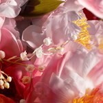 Banderas The Icon For Her Edp 100 ml #4