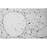 Rexona Antitranspirante en Barra V8 50 gr #3