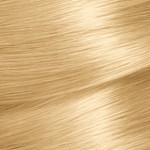 Garnier Nutrisse Coloracion en Crema 90 trigo #10