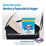 Toallitas Desinfectantes Ayudin Fresco 36u #5