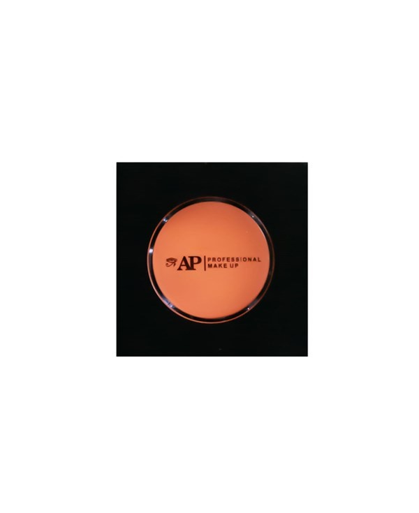 Ap Professional Make Up Corrector Compacto Cremoso 10
