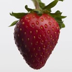 Perfume Her Intense| Eau de Parfum |Burberry|x 50 ml #8