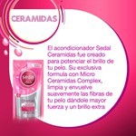 Sedal Acondicionador Ceramidas Repuesto 300 ml #6