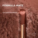 Labial en Barra Loreal París Color Riche Volume Matte Tono 570 Worth It Intens #4
