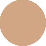 Loreal Paris Base Infallible Matte Cover 290 #4