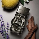 Michael Kors Pour Homme Absolu Edp 100 ml #3