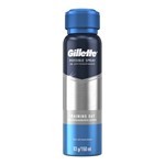 Gillette Antitranspirante Aerosol Cool Wave 93 gr #2