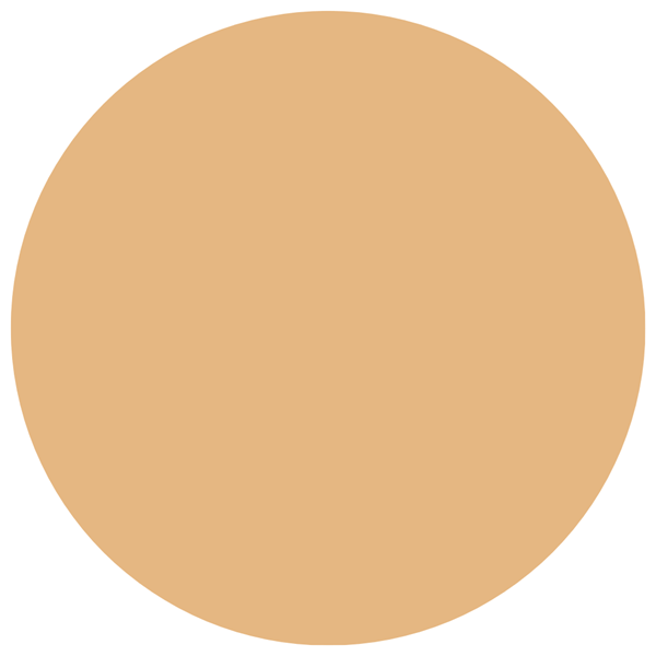 Base Líquida Maybelline Fit Me Fresh Tint Spf 50 4 alt