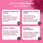 Echa Marine Promarine Antioxidants Monodosis 60 unidades #2