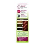 Garnier Kit de Coloracion Cor Intensa Rojos 6.6 Rojo Cobrizo #12