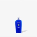 Biferdil Shampoo Libre de Sulfatos 100 ml #1