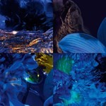 Chanel Bleu de Chanel L'exclusif  100 ml #4