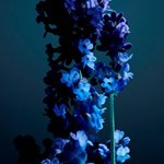 Rabanne Phantom Parfum Recargable Presentación 150 ml #4