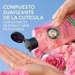 Shampoo Herbal Essences Rosa Mosqueta x 400 ml #4