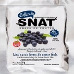 Frutas Liofilizados Snat Arándanos x 20 g #1