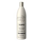 Shampoo Il Salone Brillo Y Vitalidad x 500 ml #1