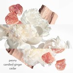 Twilly D´Hermès Ginger Edp Presentación 50 ml #6