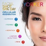 Yorker Shot Cellular Regeneration Crema Facial (5 Capsulas) #2
