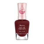 Esmalte para Uñas Sally Hansen Color Therapy  Color 376 Pause And Reset #1