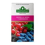 Infusión Frutal Saint Gottard Grosella, Mora Y Arándano x 20 Saquitos #1