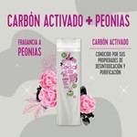 Shampoo Sedal Carbon Y Peonias 340 Ml #4