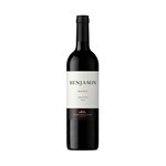 Vino Tinto Benjamín Nieto Senetiner Malbec 750 Cc #1