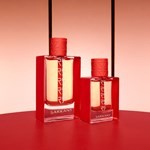 Edp Sarkany Dragoness Le Parfum x 50 ml #10